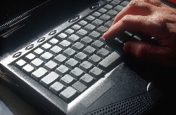 Accounting Fees Amortizations